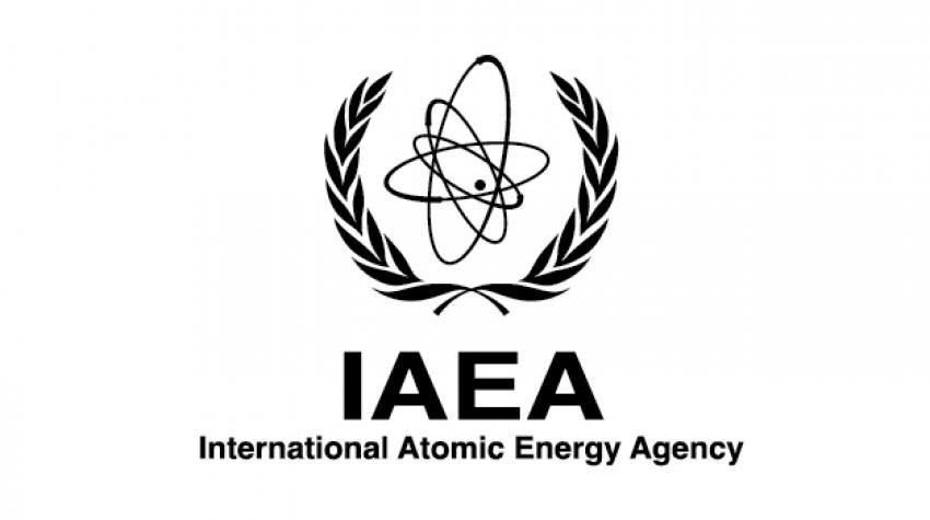 Ethics Consultant – International Atomic Energy Agency (IAEA)